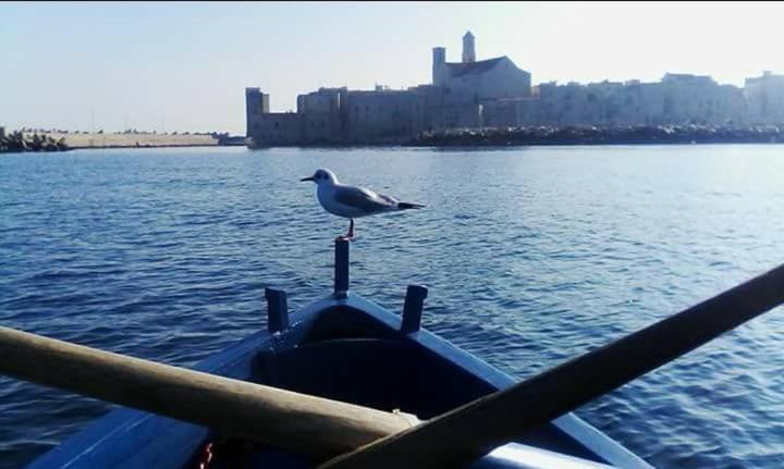 Il Da Vinci Casa Vacanze Giovinazzo Luaran gambar